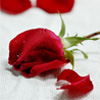 mһNeӵĜ