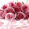 һĉ(mng)(hu)M(mn)˼